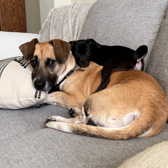 Meet your Posher, Shannon - Picture 5 of 12